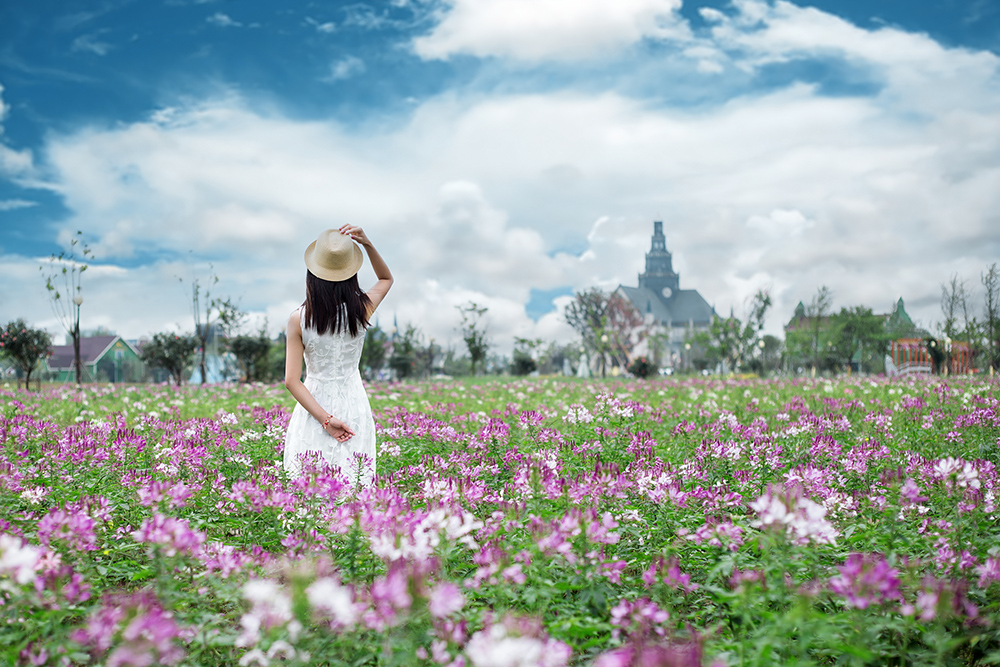 花海美景.jpg